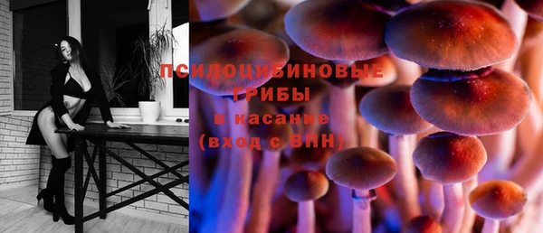 а пвп мука Алзамай