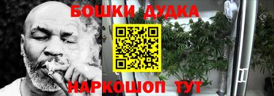 индика Азнакаево