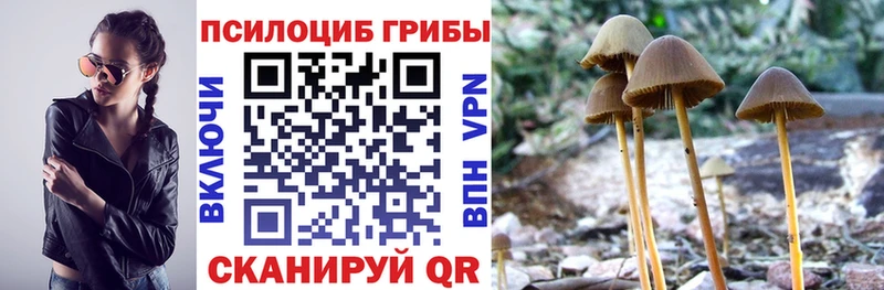 Псилоцибиновые грибы прущие грибы  Апрелевка 