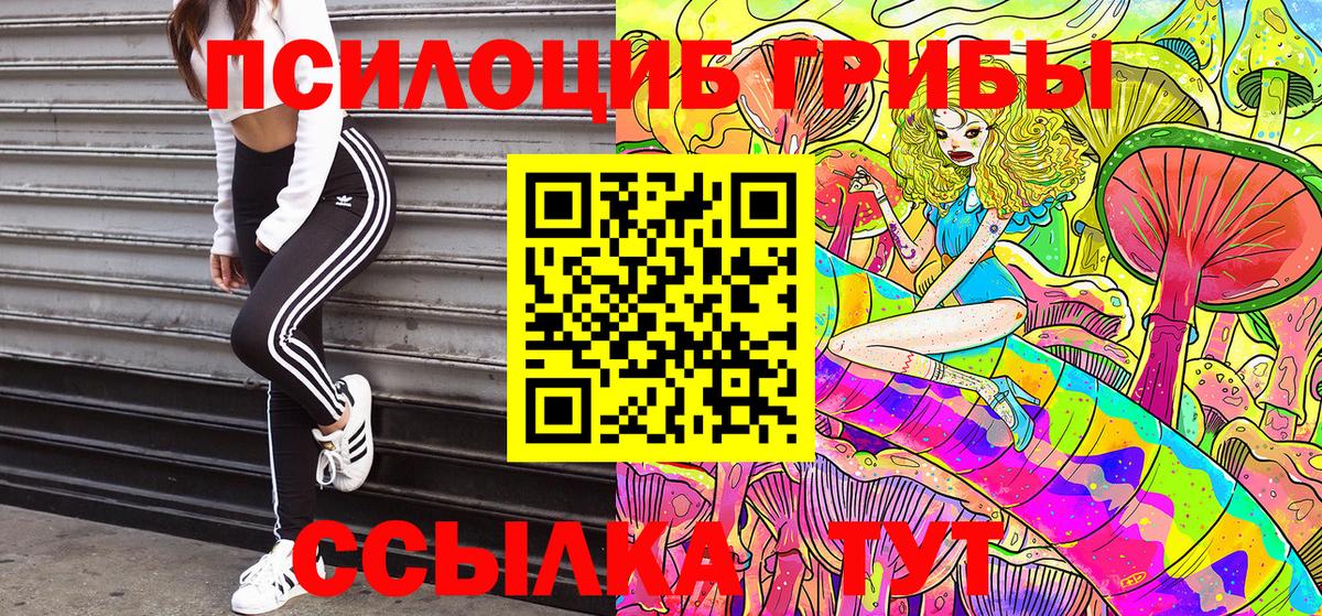 Галлюциногенные грибы прущие грибы  Вход с VPN  Галлюциногенные грибы мухоморы  Апрелевка 